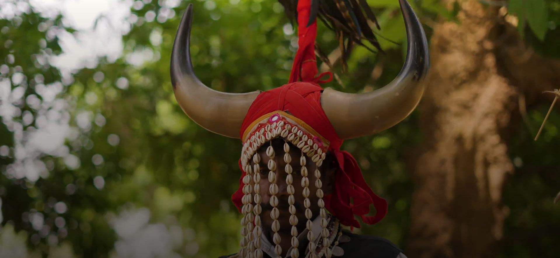 Gaur Gaur
