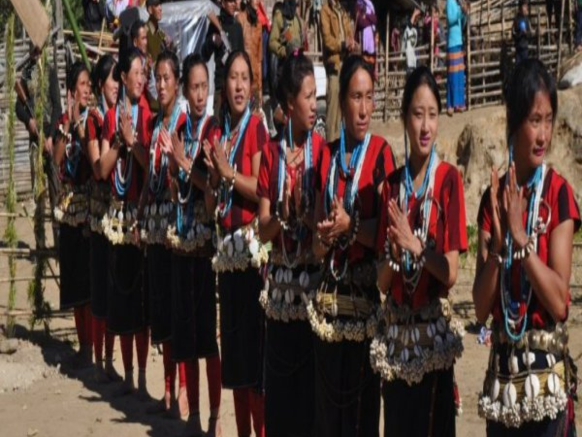 Podi Barbi Festival Podi Barbi Festival