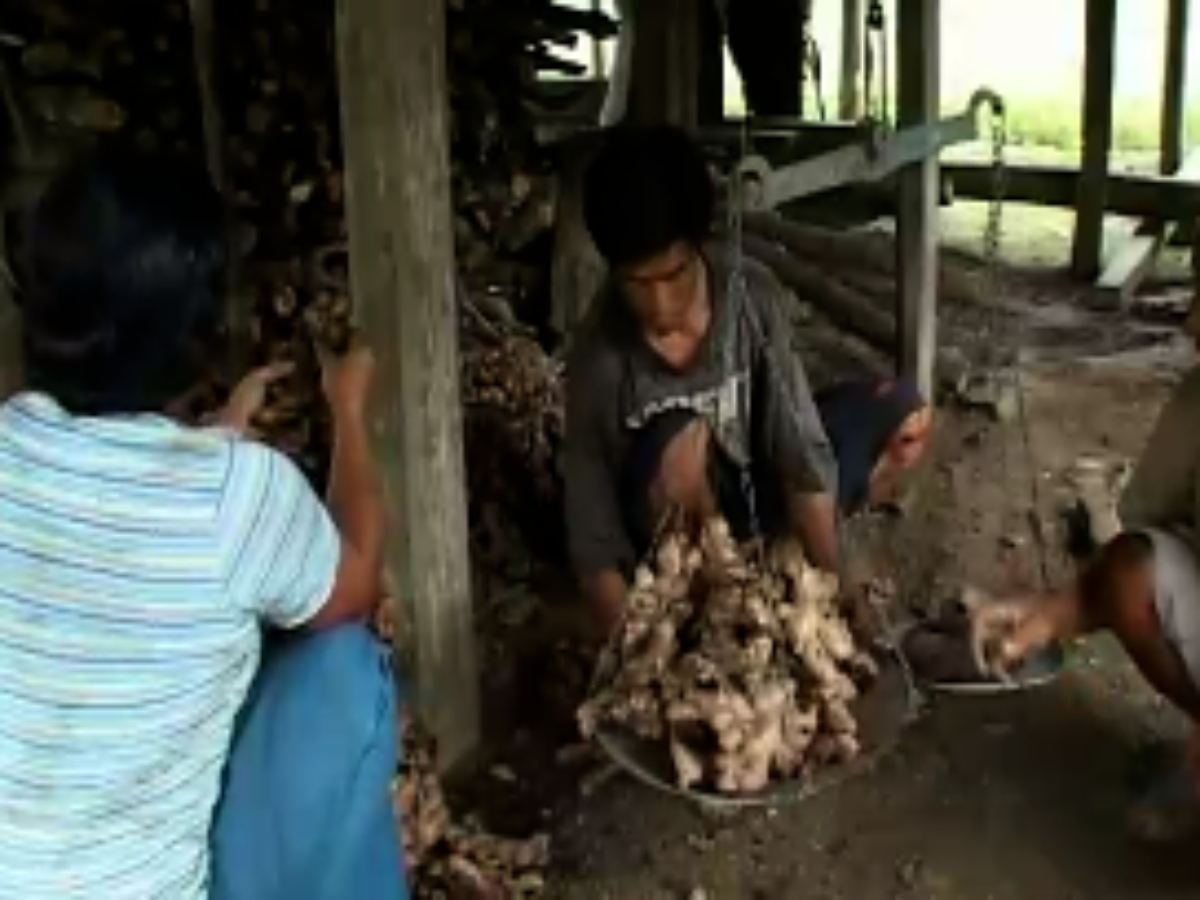 The Living Heritage of the Buxa Hills The Living Heritage of the Buxa Hills