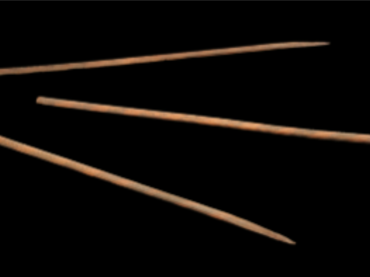 Bundle Spikes of Naga Tribe Bundle Spikes of Naga Tribe