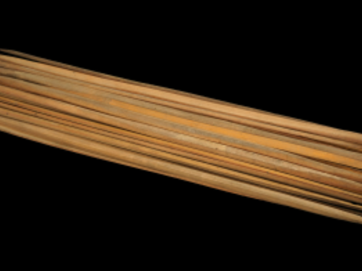 Sharp bamboo Bundle Spikes of Naga Tribe Sharp bamboo Bundle Spikes of Naga Tribe