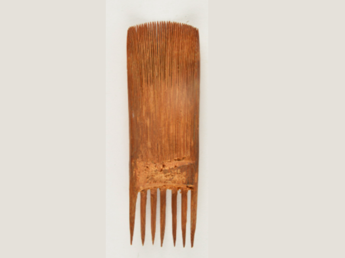 Nishi Tribe’s Carved Wooden Comb