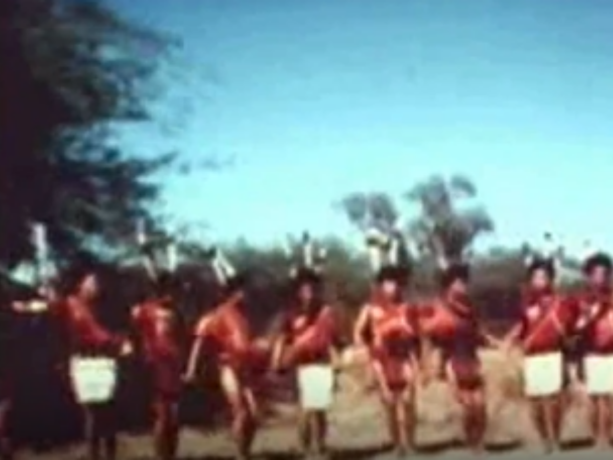 Sangphao Dance of sangtam naga tribe Sangphao Dance of sangtam naga tribe