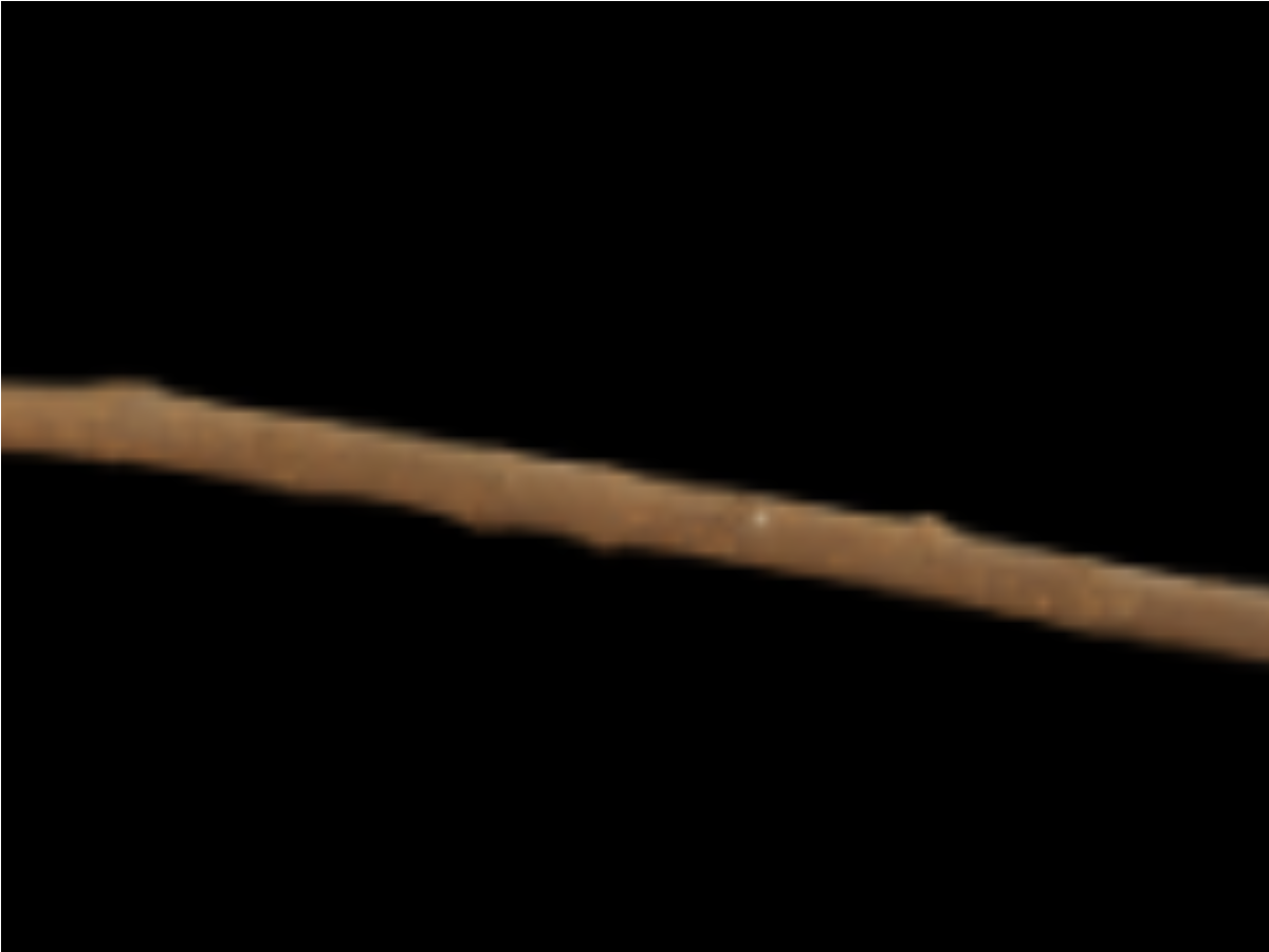 Hear: Traditional Digging Tool Hear: Traditional Digging Tool