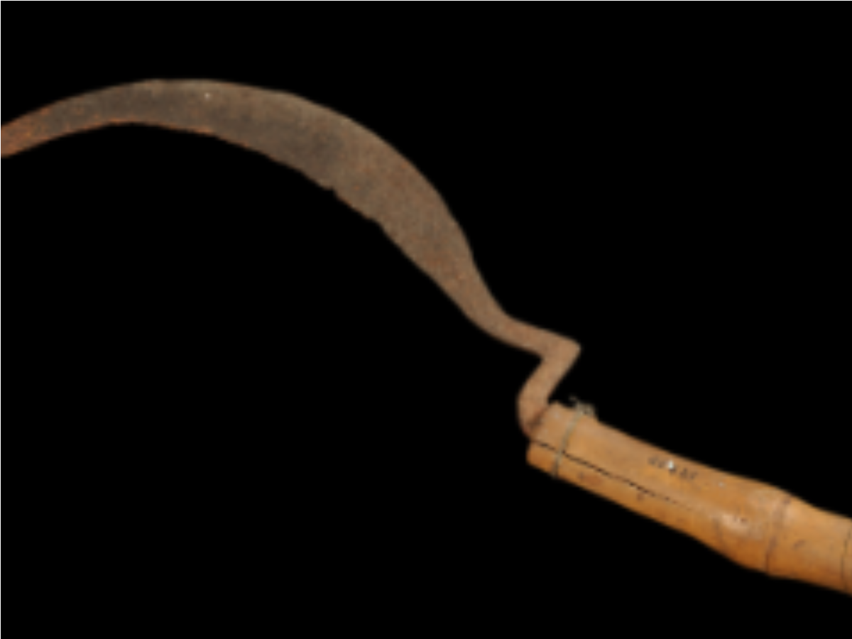 Iron Sickle: Traditional Harvesting Tool Iron Sickle: Traditional Harvesting Tool