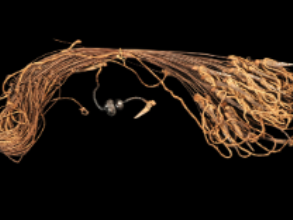 Bird Trap with Thin Palm Leaf Fibres Bird Trap with Thin Palm Leaf Fibres