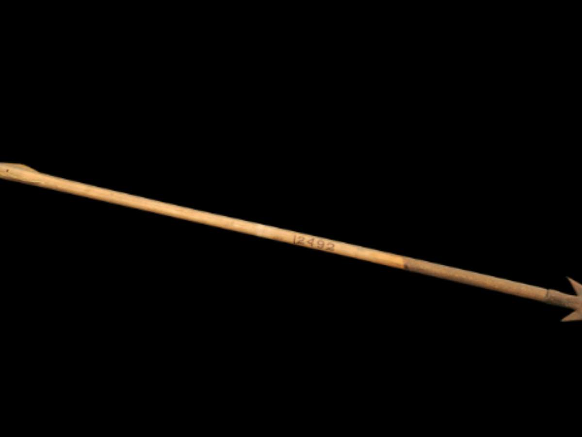 Konyak Naga Bamboo Arrow Konyak Naga Bamboo Arrow