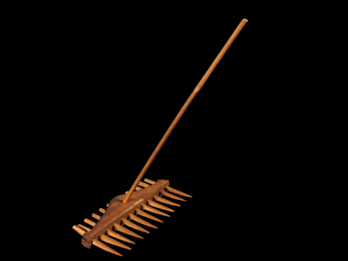 The Harrow of the Rabha Tribe The Harrow of the Rabha Tribe