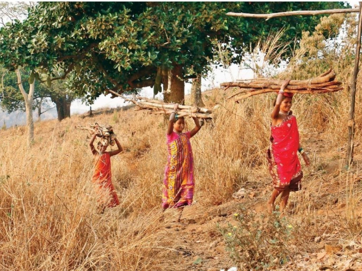 Didayi Tribe Didayi Tribe