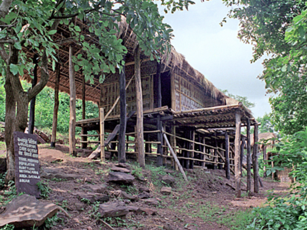 Mishing Homes: Assam’s Floating Heritage Mishing Homes: Assam’s Floating Heritage