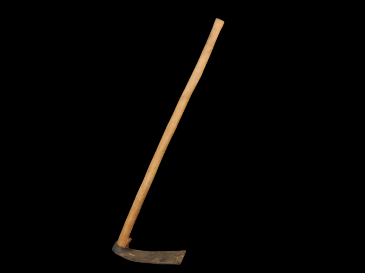 Rabha Tribe Scraper Rabha Tribe Scraper
