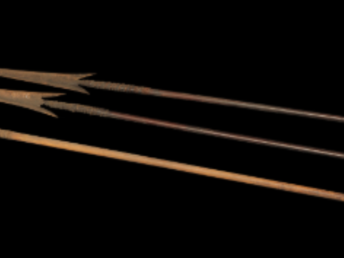 Bamboo arrows Hunting Weapon of Sangtam Naga Tribe Bamboo arrows Hunting Weapon of Sangtam Naga Tribe