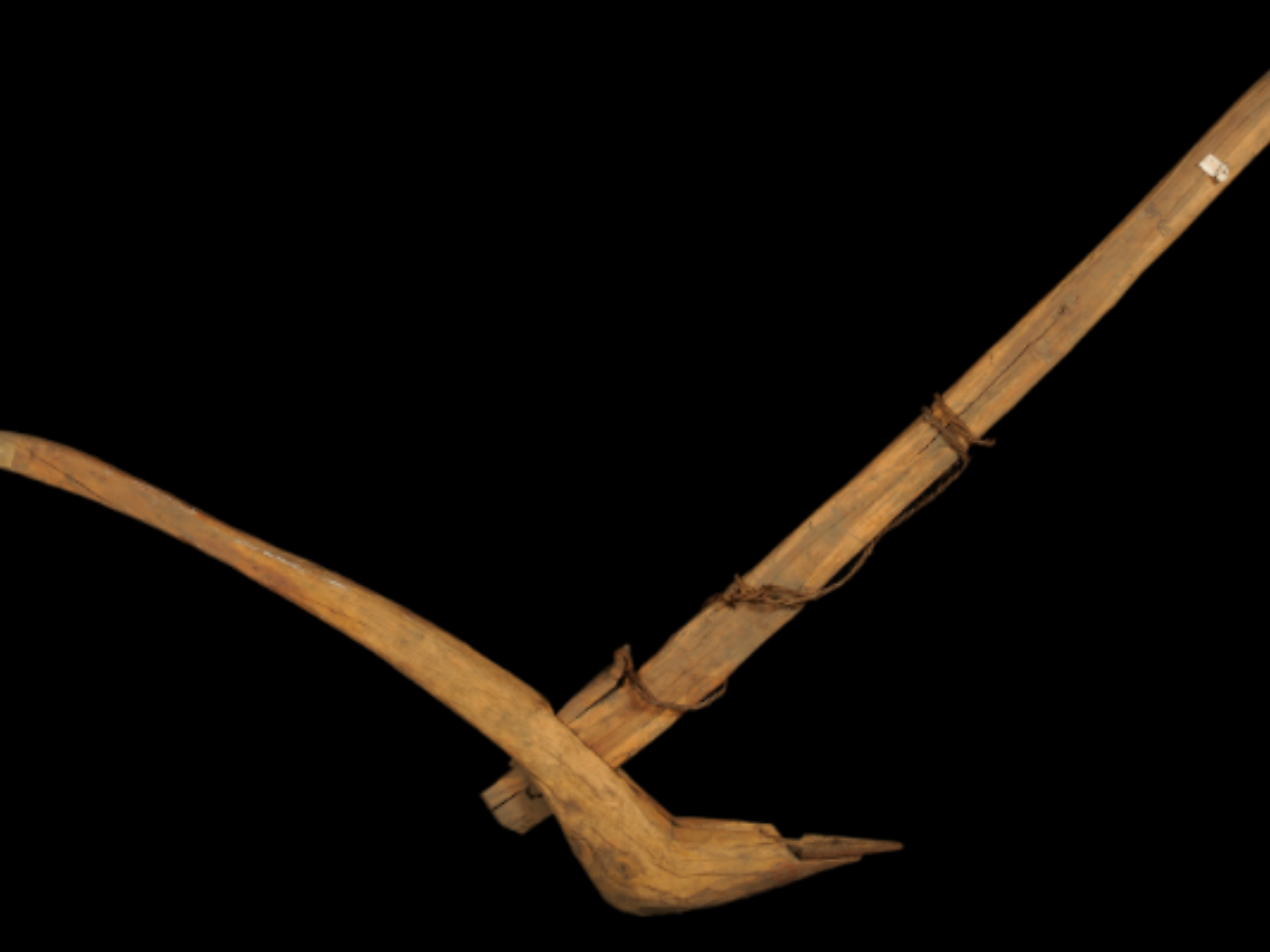 Gadaba Tribe's Wooden Traditional Farming Implements Gadaba Tribe's Wooden Traditional Farming Implements