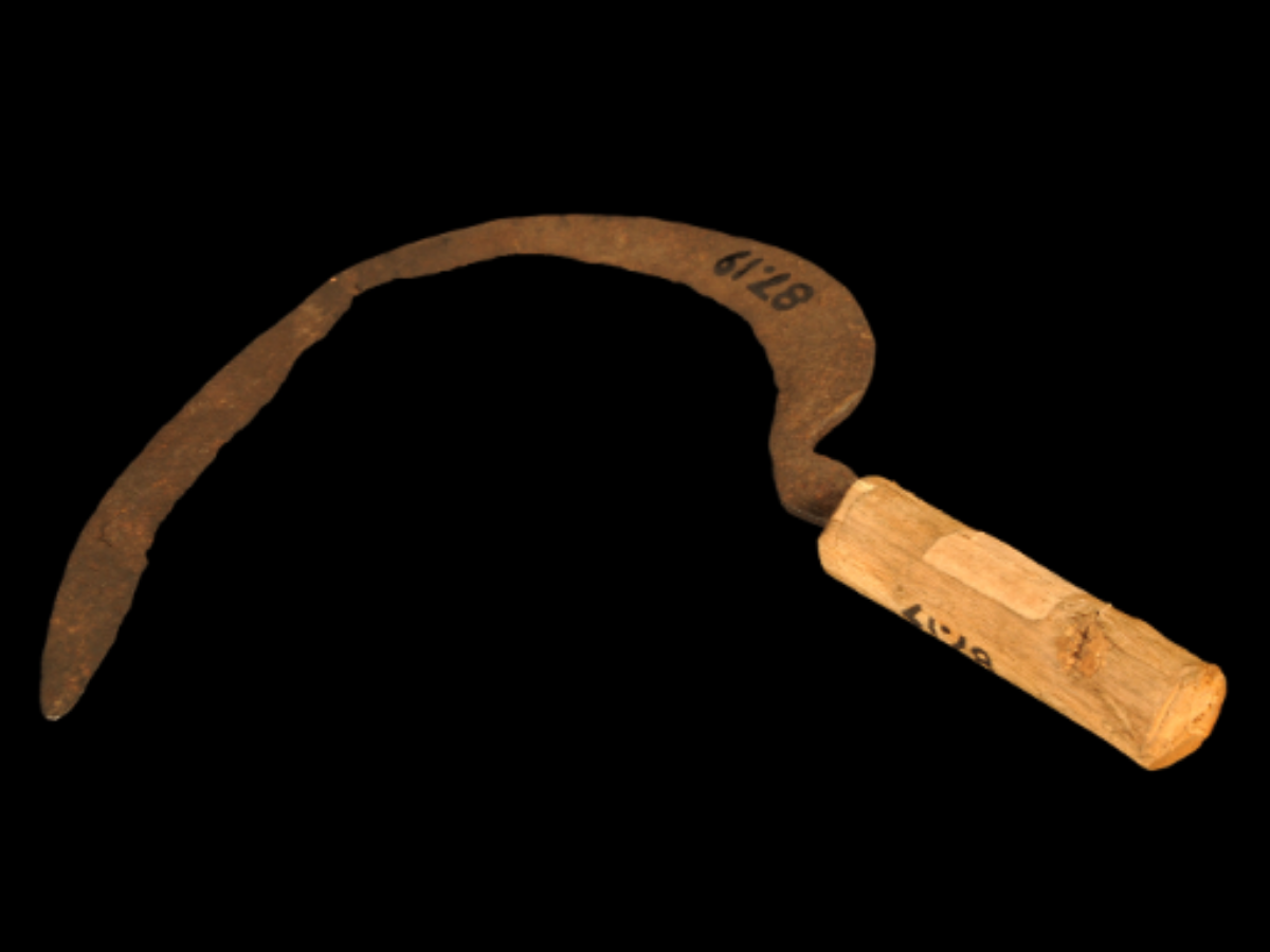 Traditional Sickle of the Gadaba Tribe Traditional Sickle of the Gadaba Tribe