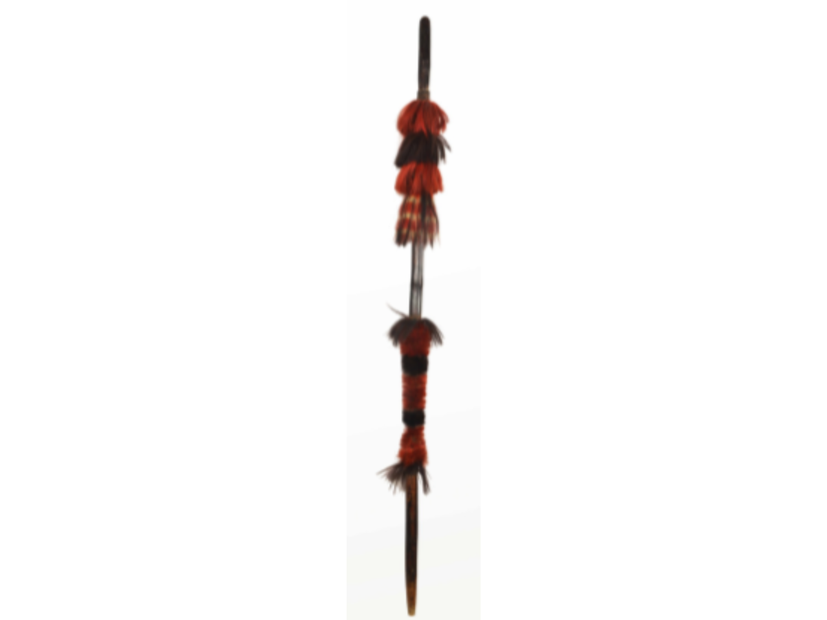 A Wooden Iron Spear of Arunachal Pradesh A Wooden Iron Spear of Arunachal Pradesh