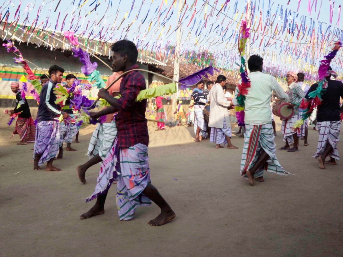 Sohrai Festival Sohrai Festival