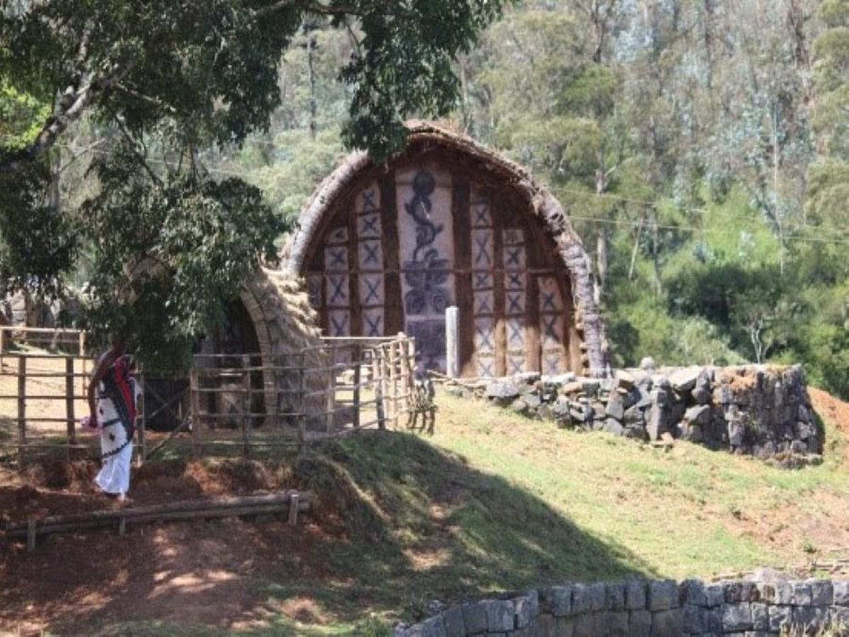 Livelihood of toda tribe