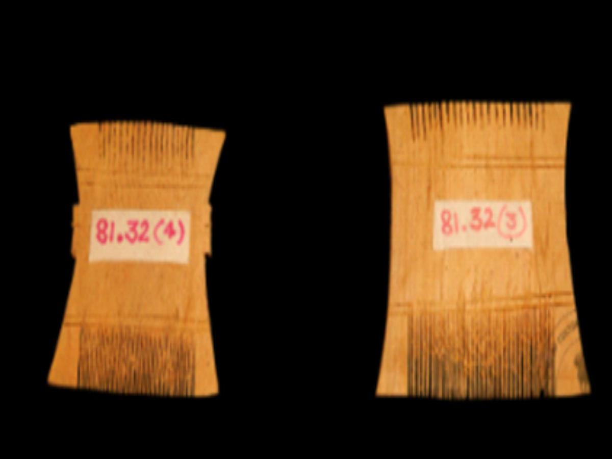 Dual-Tooth Wooden Comb Dual-Tooth Wooden Comb