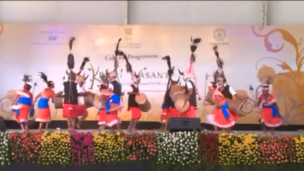 Gaur Gaur