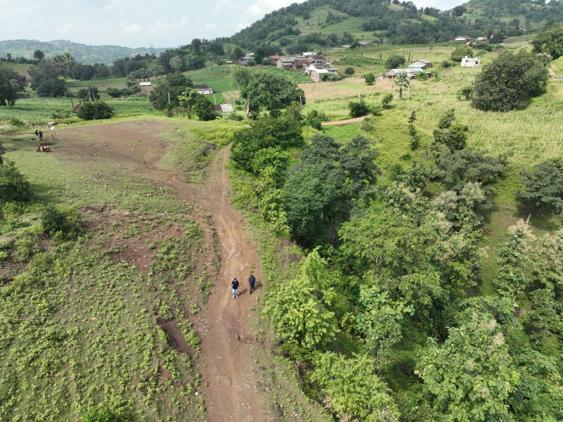 Agricultural