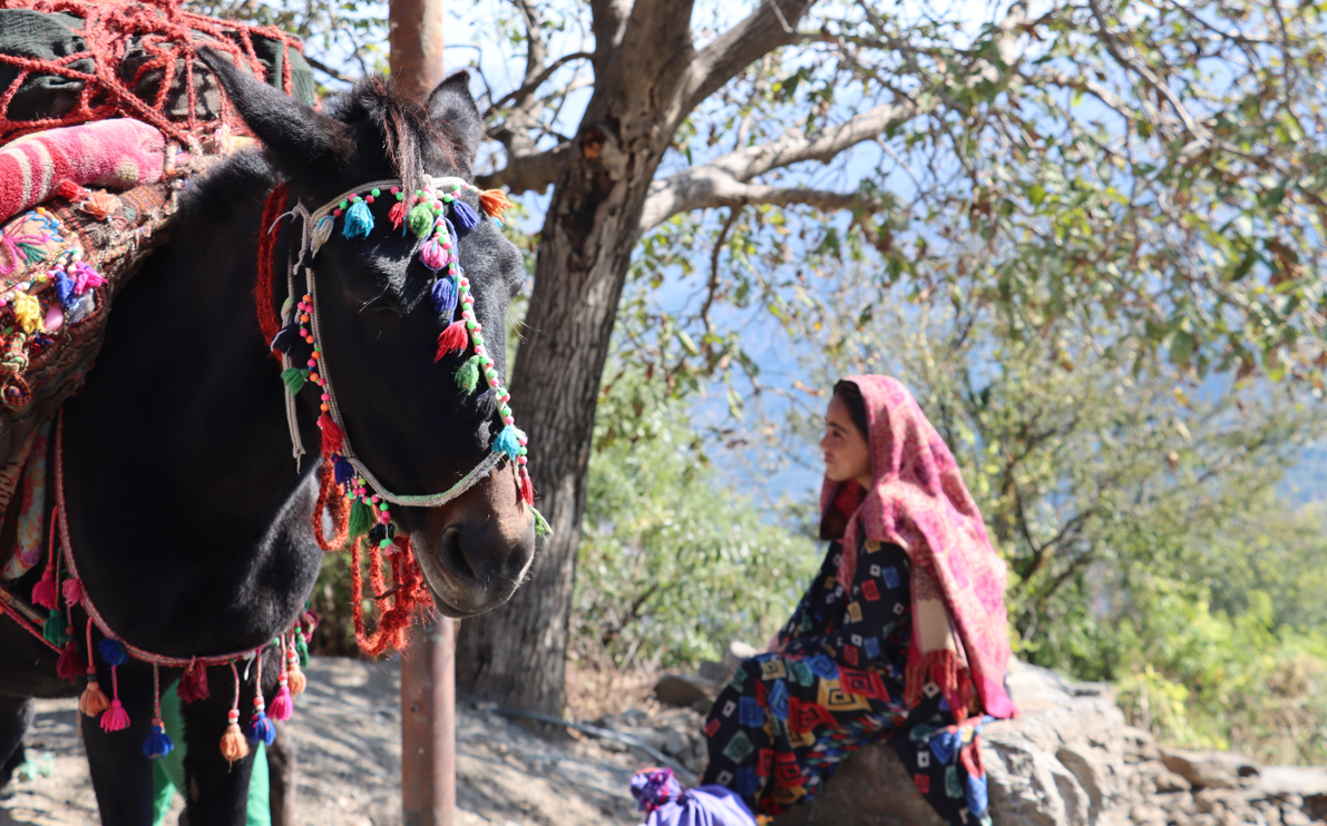 Gujjar-Bakarwal Gujjar-Bakarwal