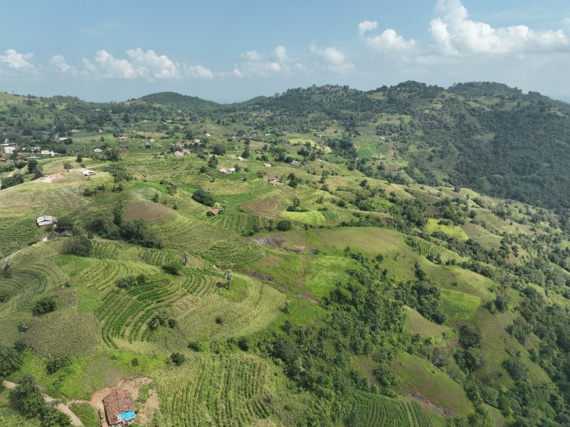 Farms