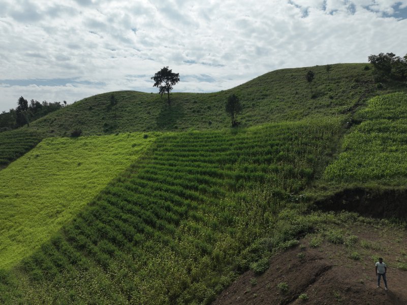 Farming