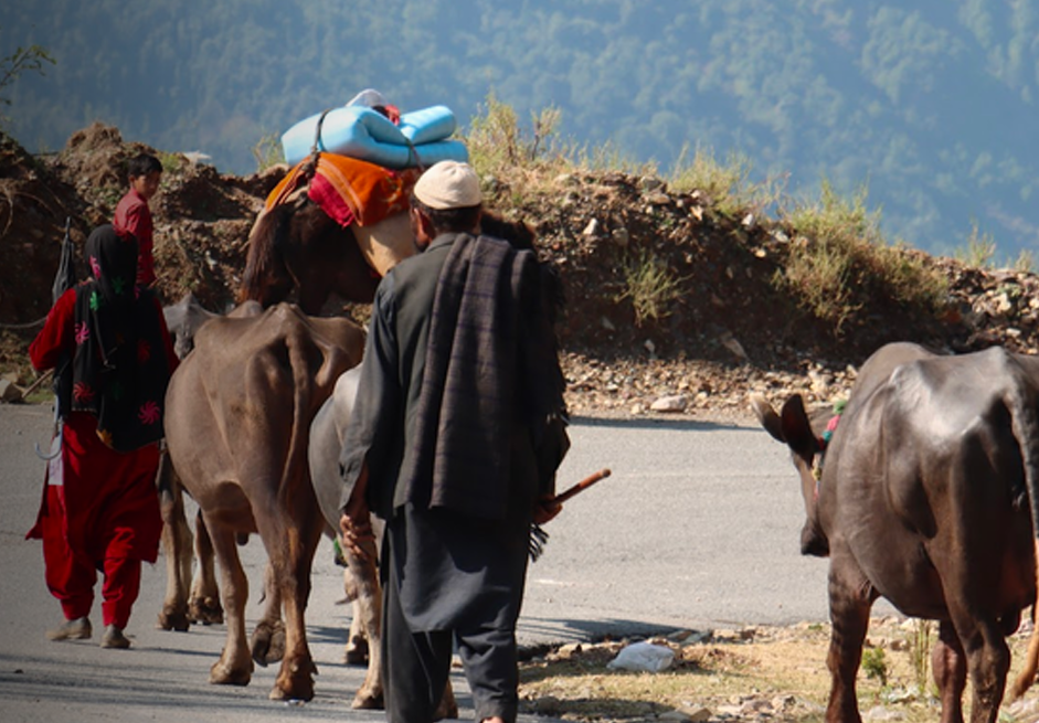 Gujjar-Bakarwal Gujjar-Bakarwal