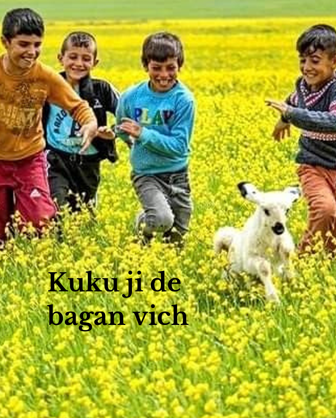 Kuku Kuku