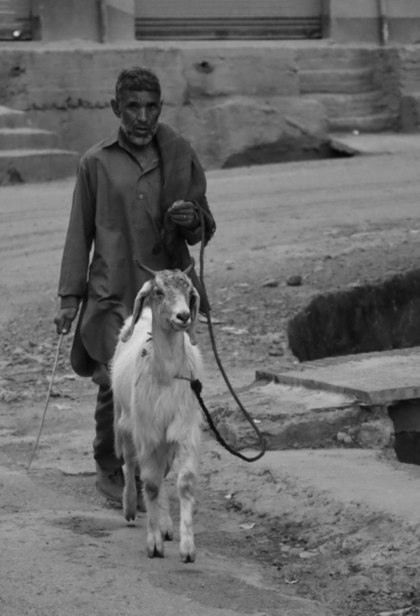 Gujjar Gujjar