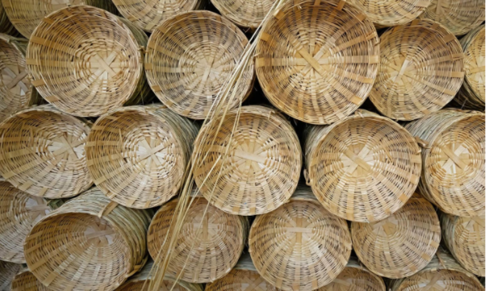 Bamboo Bamboo