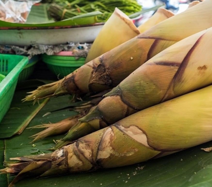 Bamboo Bamboo