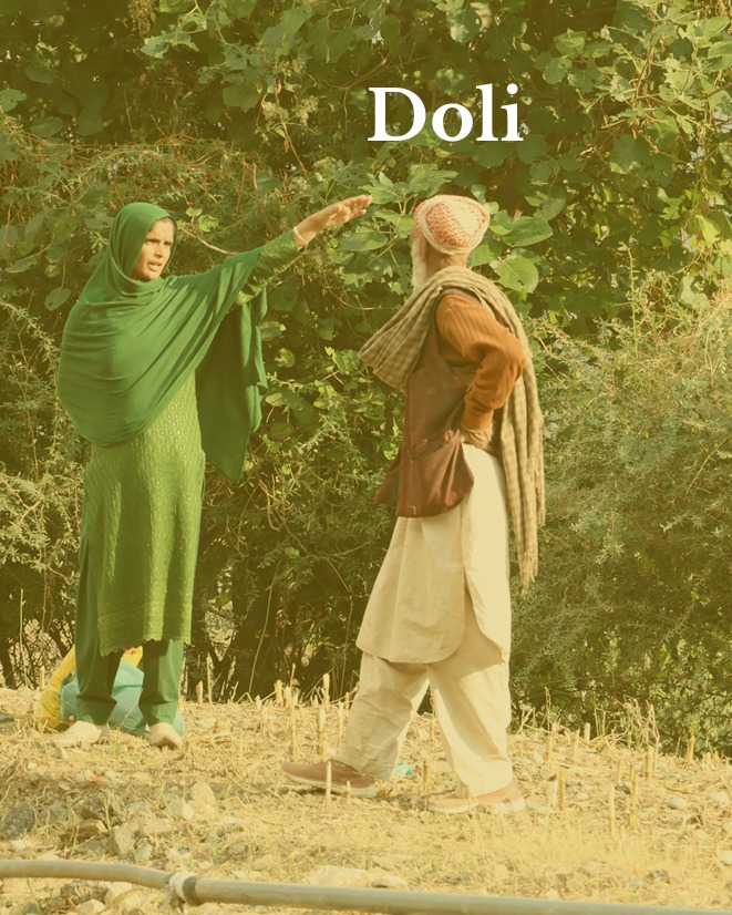 Kashmiri natives