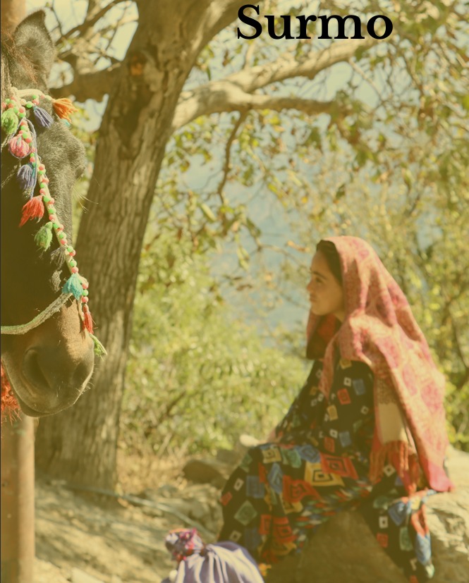 Gujjar Woman Gujjar Woman