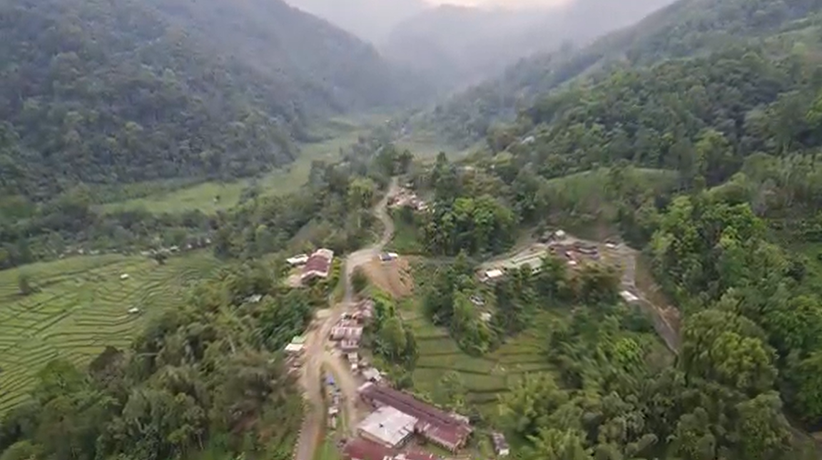 Hills Hills