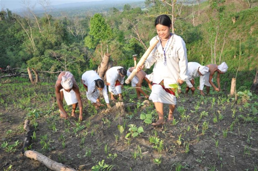 Tripuri Tribe Tripuri Tribe