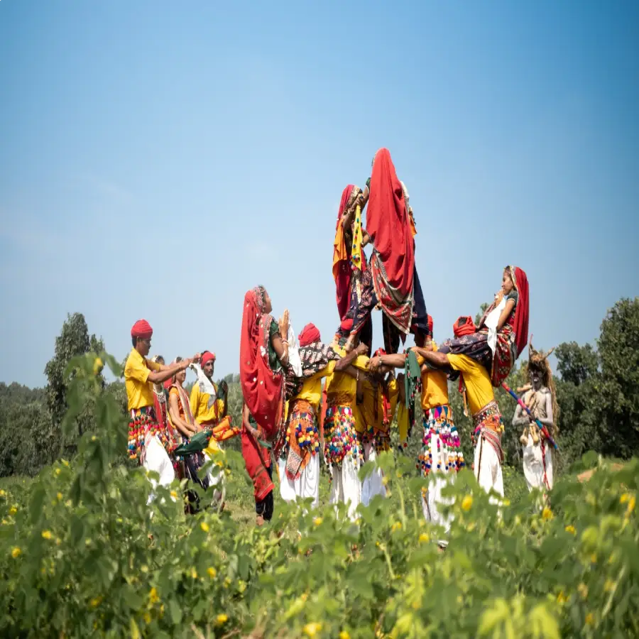 Rathwa Dance Costume Rathwa Dance Costume