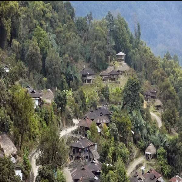 Hills Hills