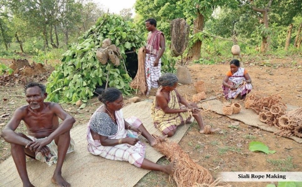 Siali rope making Siali rope making