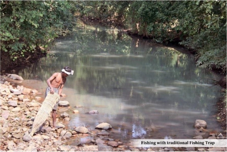 Fishing with Traditional Fishing trap Fishing with Traditional Fishing trap