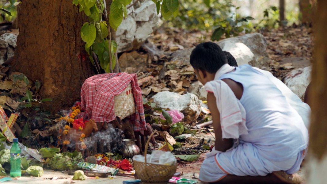 Worship rituals in Sarhul Festival Worship rituals in Sarhul Festival