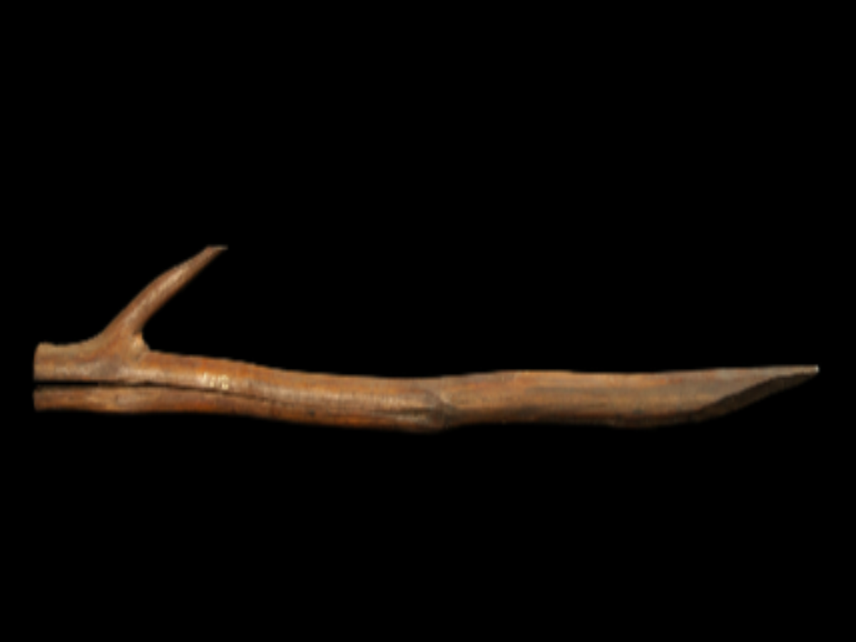Lushai trap used to capture wild animals Lushai trap used to capture wild animals