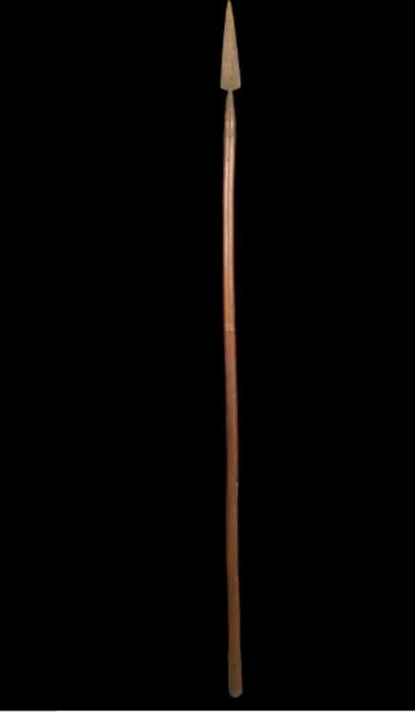 Warrior Iron Spear Warrior Iron Spear