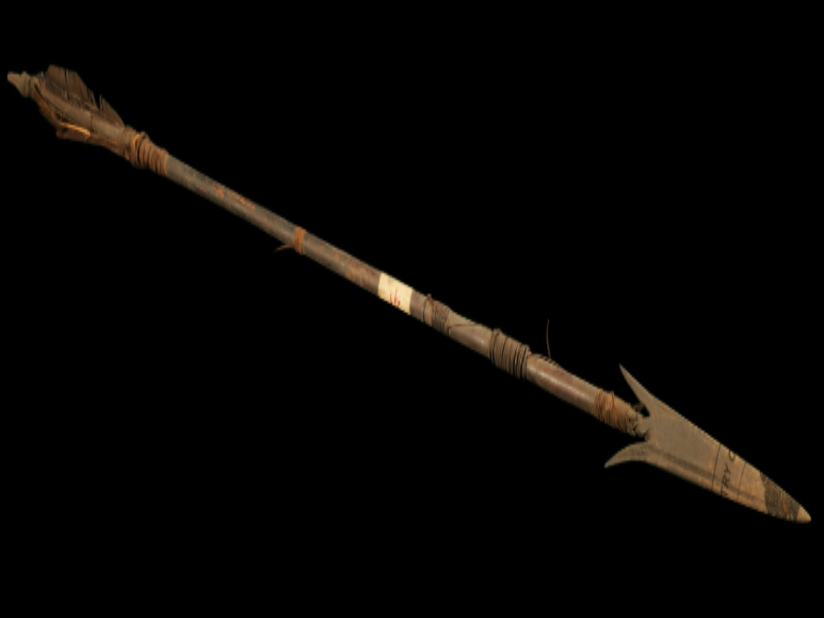 Kanda Indigenous Arrow Kanda Indigenous Arrow