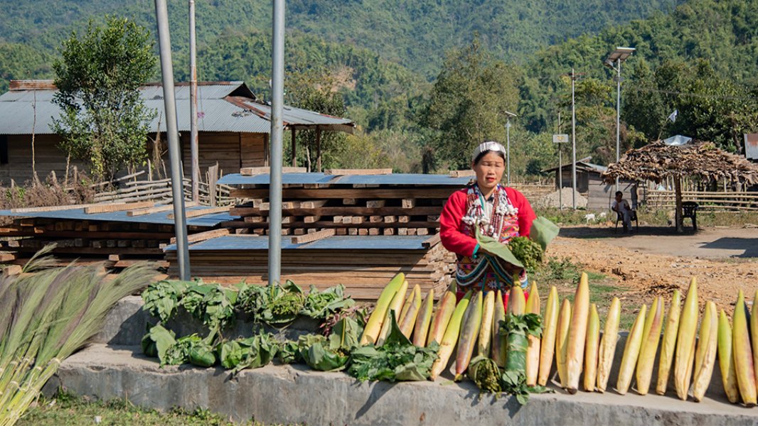 Aka Woman with forest products Aka Woman with forest products