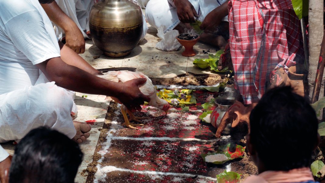 Communal practices during sarhul Communal practices during sarhul