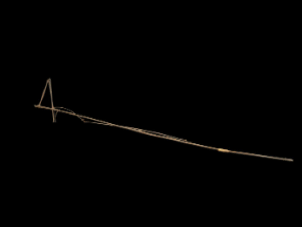 Bamboo snare with a bifurcated head Bamboo snare with a bifurcated head
