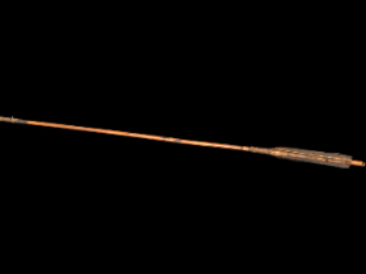 Santhal’s bamboo arrow Santhal’s bamboo arrow