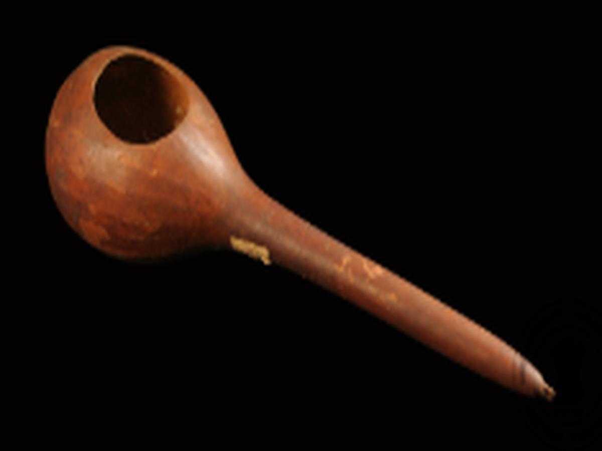 Gourd Ladle with Bulbous Head Gourd Ladle with Bulbous Head