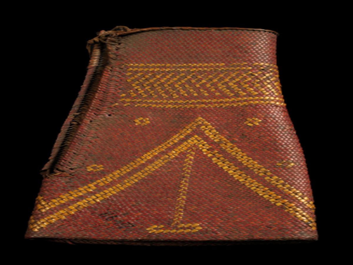 A conical sleeve guard A conical sleeve guard